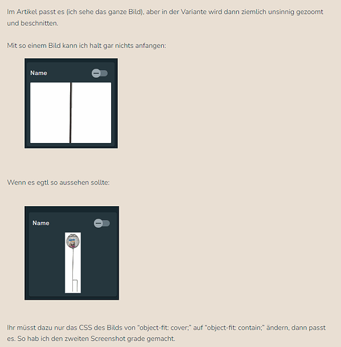 2026-06-01 13_59_59-https___help.plentyone.com_hc_de_requests_48777 - AW_ Neue Artikel-UI_ Bugs & Wü